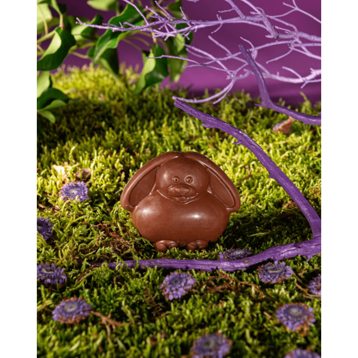 Lapin en chocolat au lait Le Roy René Le Roy René